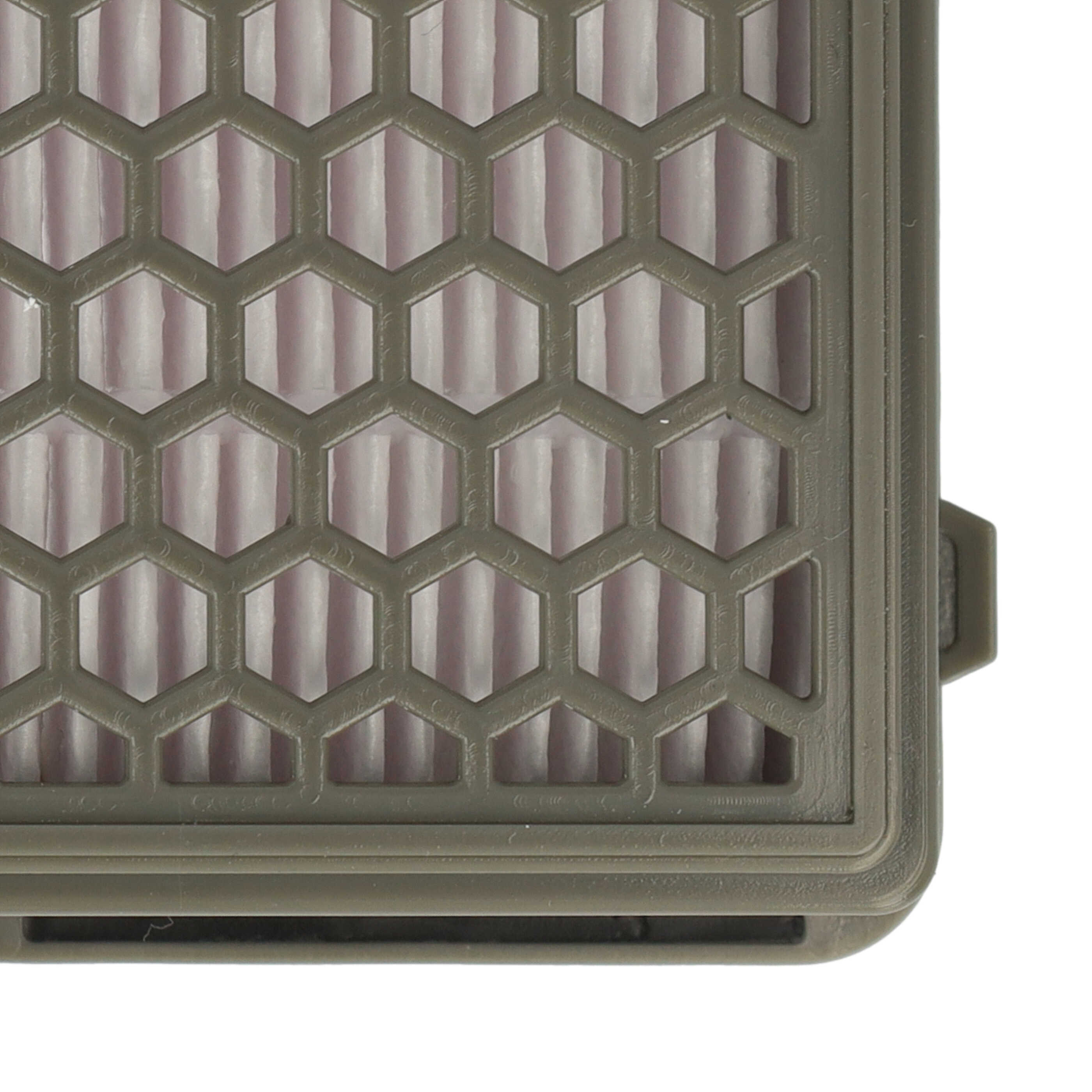 vhbw Filtro compatible con Rowenta RO3786EA4Q0 4P0053176P | WhichOne