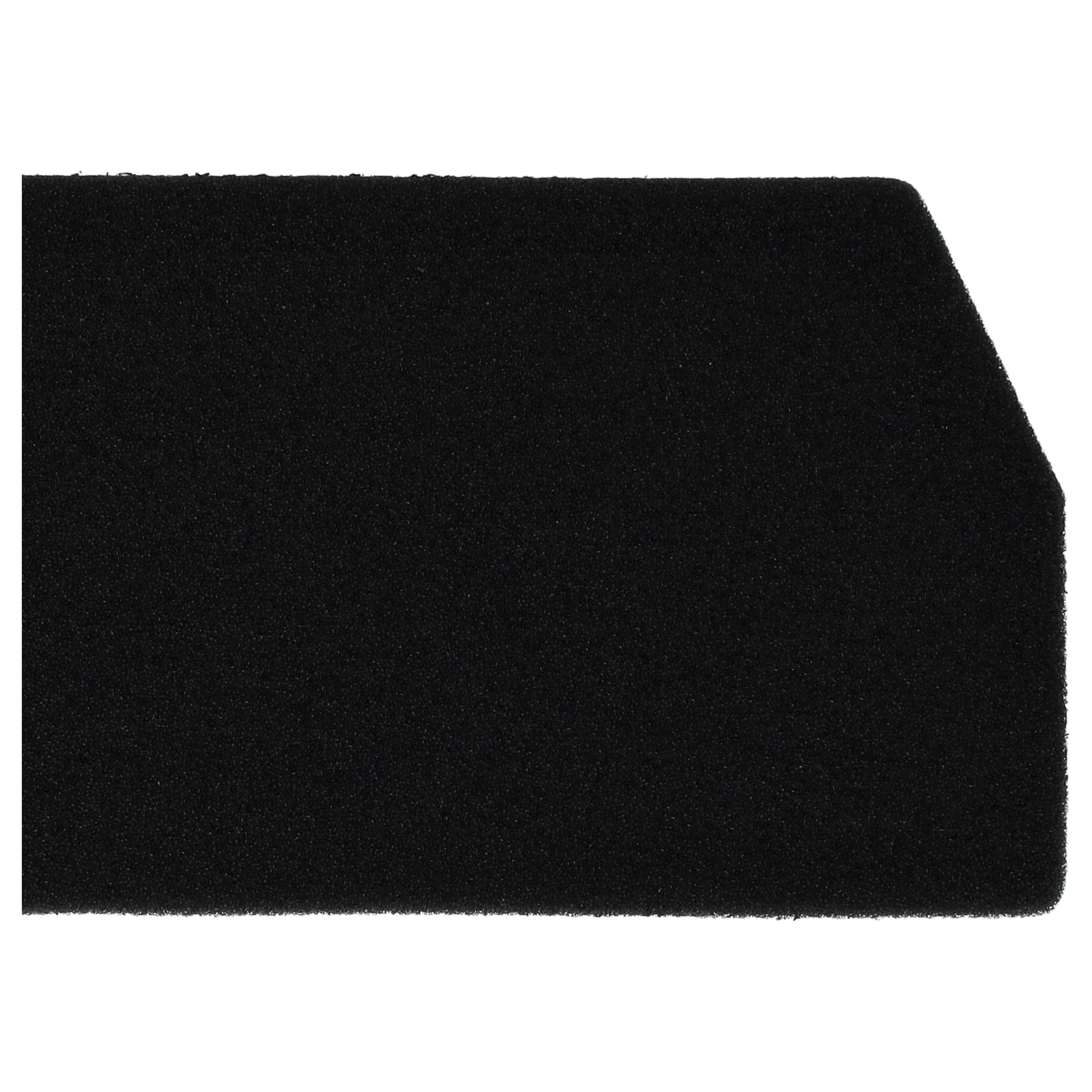 Filtro in spugna per Rowenta Ergo Force Cyclonic RO6743EA/410 RO6723PB/410