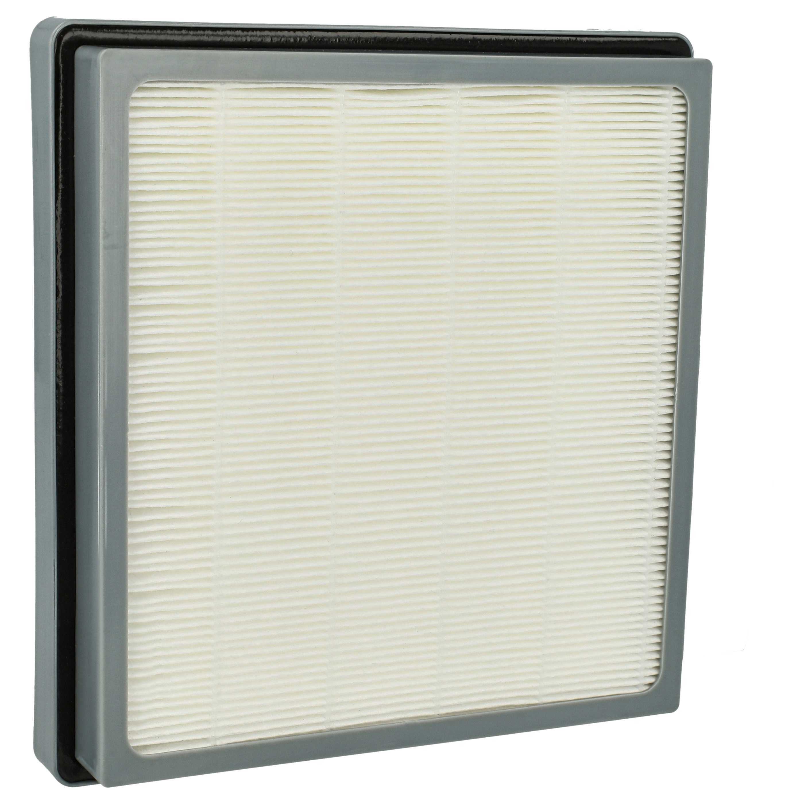 Filtre HEPA pour Nilfisk GD 1000 Family+ HDS 1005 GDS 1010 GD 1010 GD 1005