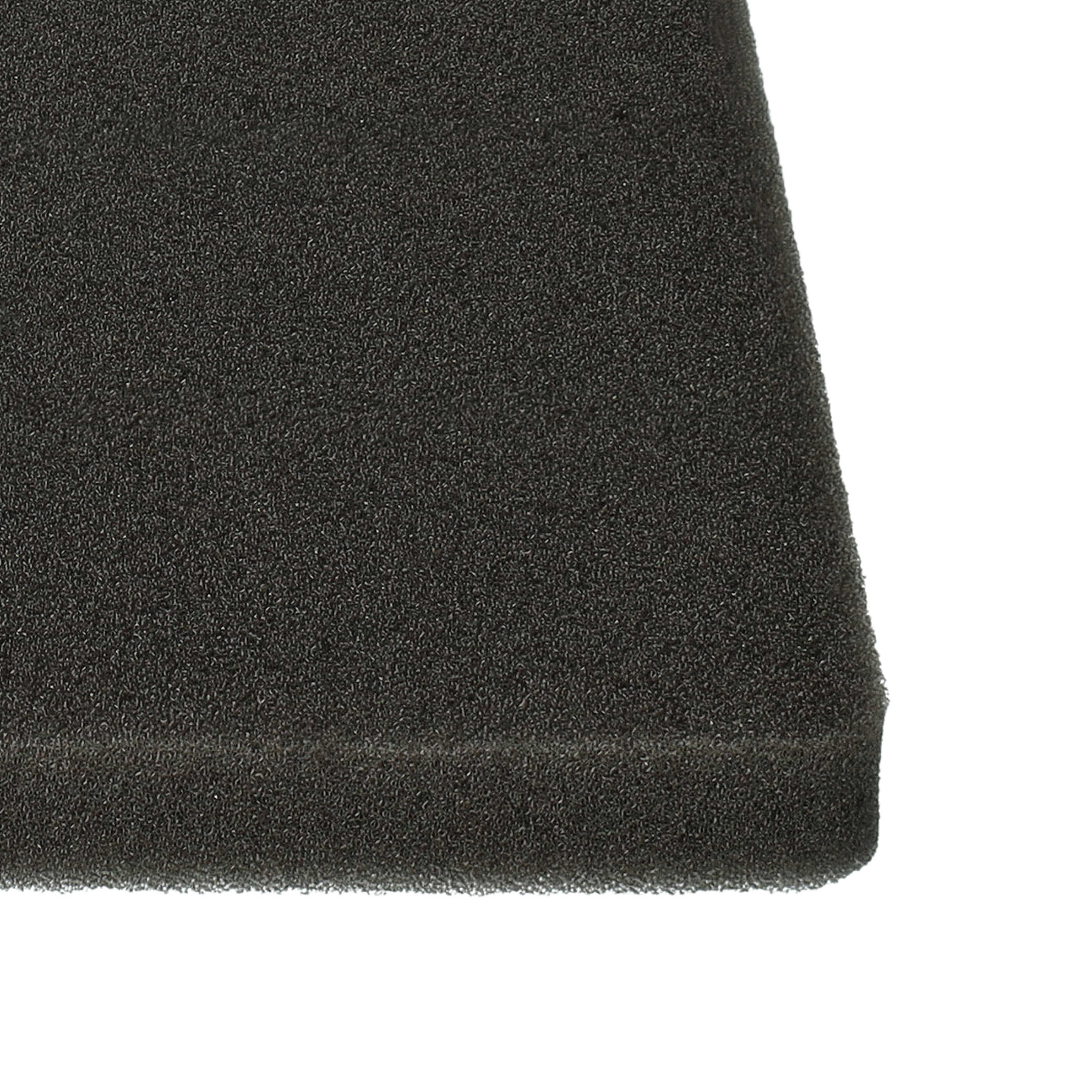 Vhbw Filtro Di Ricambio Per Electrolux AAM6107 | Filtro Spugna Aspirapolvere