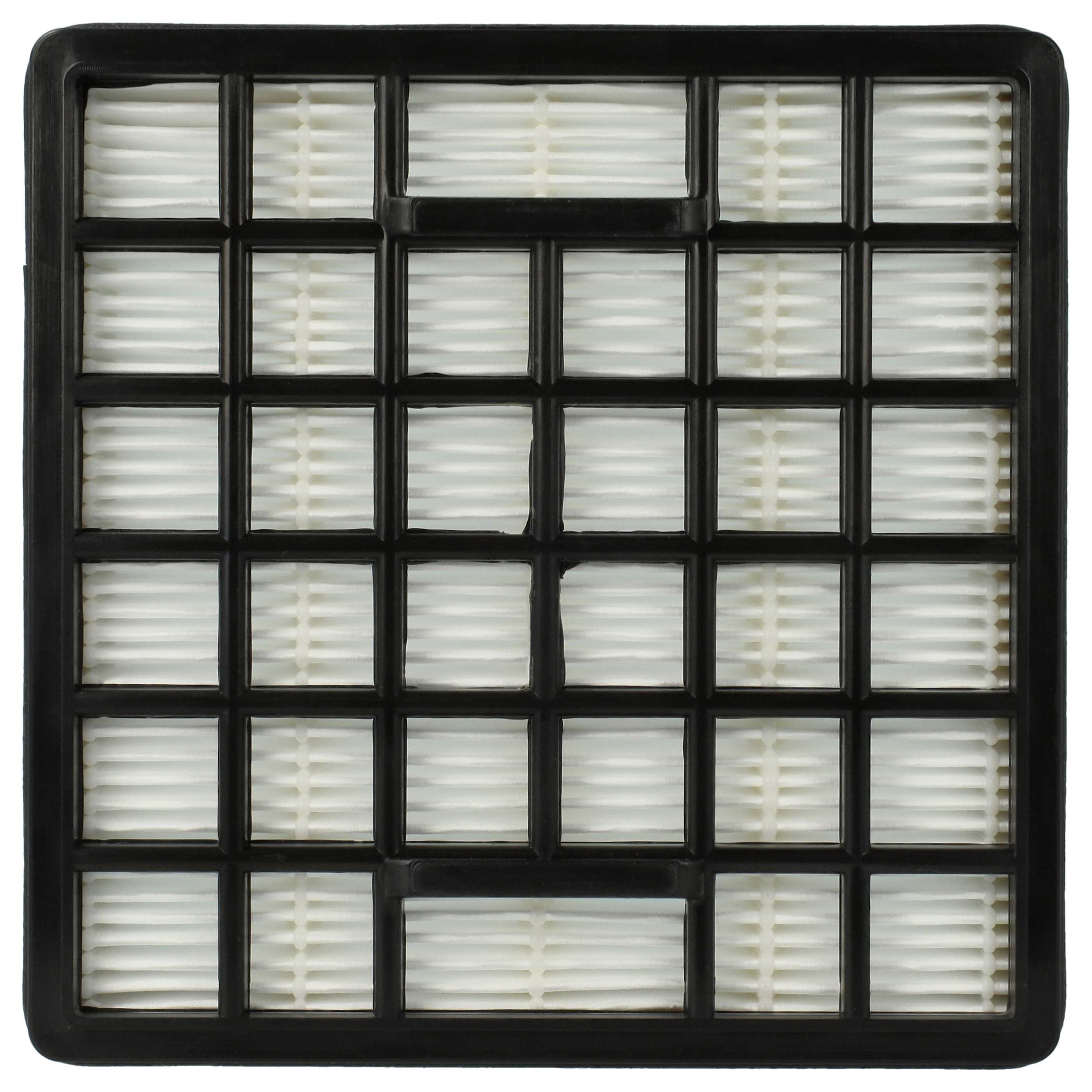 Vhbw Filtro HEPA Compatibile Con Rowenta Intensium Upgrade - RO668211/411, RO668201/411 - Ricambio Aspirapolvere