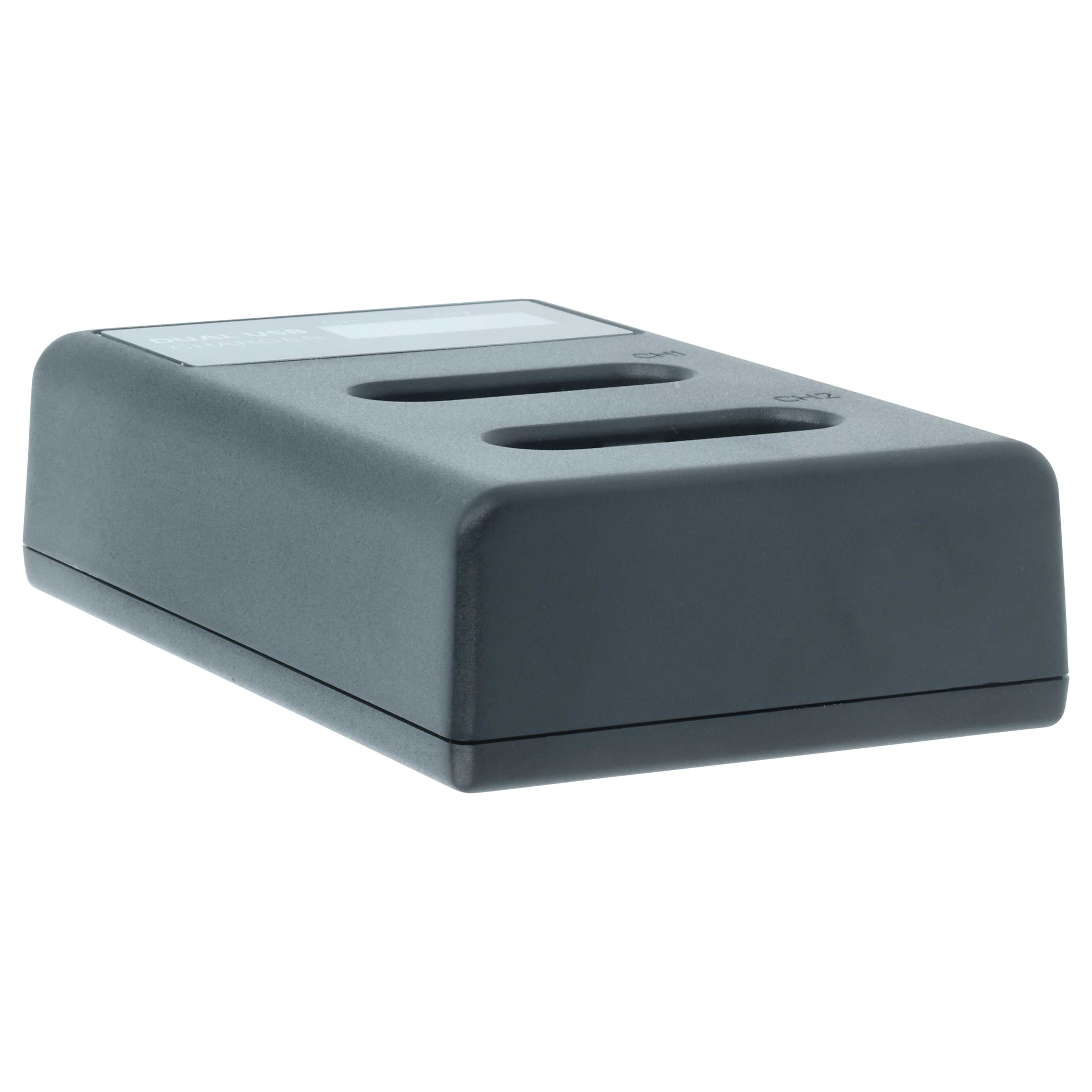 Vhbw Caricabatterie USB Duale Con Display Per Sony HDR-CX405, HDR-CX440 - Stazione Di Ricarica 2 Slot, Sostituisce BC-CSXB, 4,2V