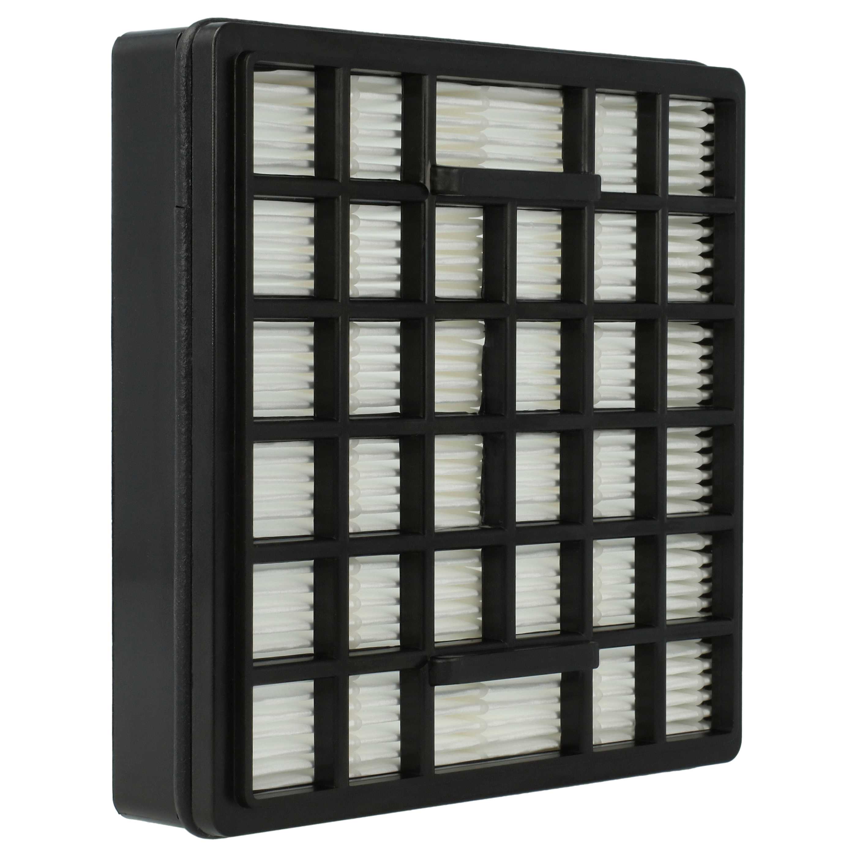 Lot De 2 Filtres HEPA Pour Aspirateur Rowenta Intensium Upgrade RO666711/410 RO666511/410 - Neufs